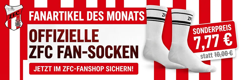 Fanartikel des Monats Banner_Fahne